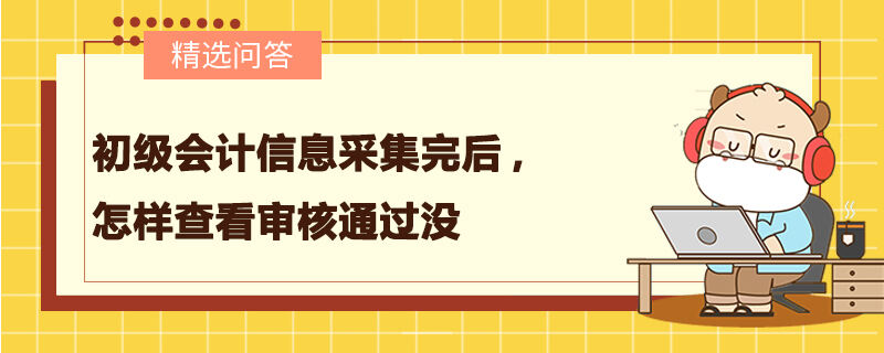 初级会计信息采集完后,怎样查看审核通过没