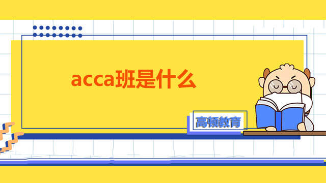 acca班是什么