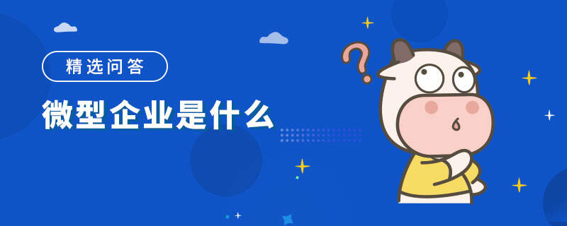 微型企業(yè)是什么