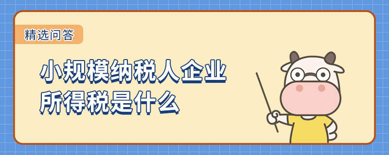 小規(guī)模納稅人企業(yè)所得稅是什么