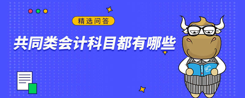 共同類會計科目都有哪些