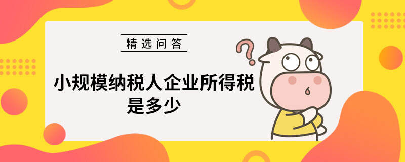 小規(guī)模納稅人企業(yè)所得稅