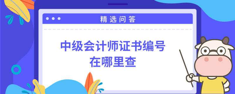 中级会计师证书编号在哪里查