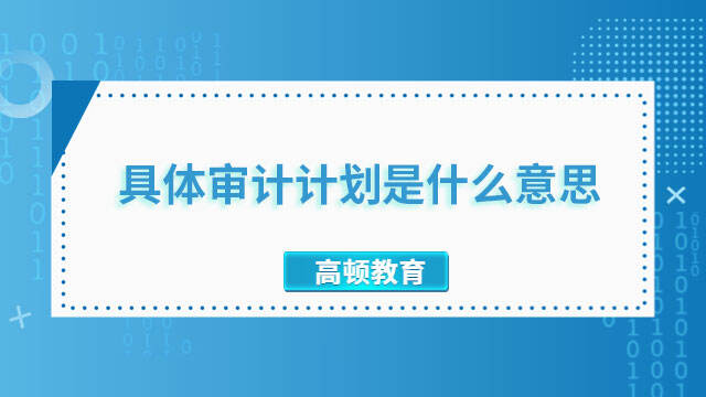 具體審計計劃是什么意思