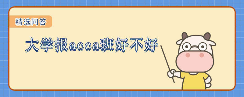 大学报acca班好不好