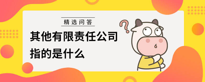 其他有限責任公司指的是什么