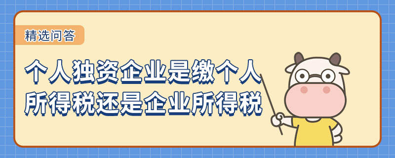 个人独资企业是缴个人所得税还是企业所得税