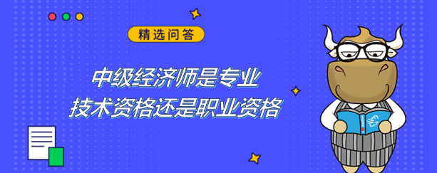 中级经济师是专业技术资格还是职业资格